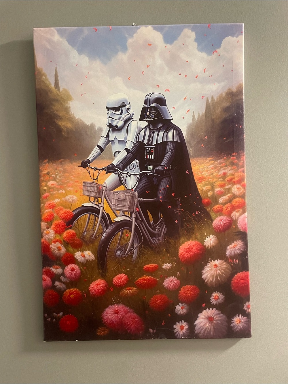 Star Wars Art Canvas - Darth Vader & Stormtrooper in Flower Field